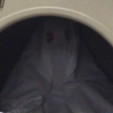 dreamofarunawayland avatar