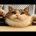 dreams-0f-escaping-blog avatar