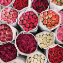 dreams-and-good-vibes avatar