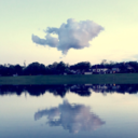 dreams-of-roses-and-death avatar