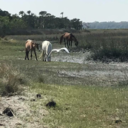 dreams-to-be-caught avatar