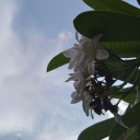 dreams4kahaani avatar