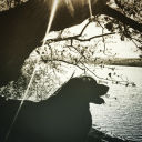 dreamscapeandskin avatar