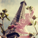 dreamshopesinspire-blog avatar