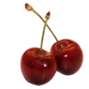 dreamsicknesss avatar