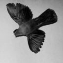 dreamsicreate avatar