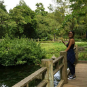 dreamsinashell avatar