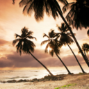 dreamsneverdie7 avatar