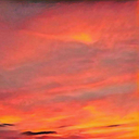 dreamsofbelonging avatar