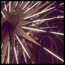 dreamthisnightaway avatar