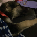 dreamwaltzersstuff avatar