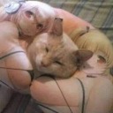 dreamy-senpai avatar