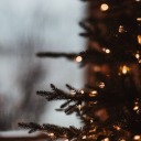 dreamy-winter avatar