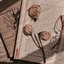 dreamygirl444 avatar