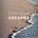 dreamzonn-blog avatar