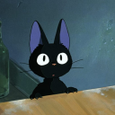 drearyandcheery avatar