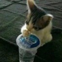 dremepuff-moved avatar