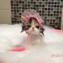 drenchedinlove avatar