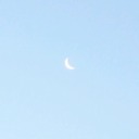 drenchedinmoonlite avatar