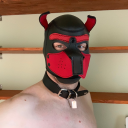 dresdenffistpup avatar