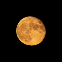 dreweg-inactive avatar