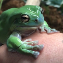 drewthelocalnerd avatar