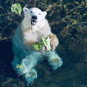 drfranklangdon avatar