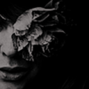 driedcornflower avatar