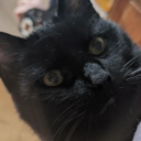 driftingaway342 avatar