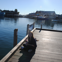 driftingindriftingout avatar