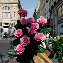 driftingworld avatar