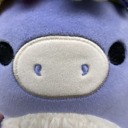 driftwood-draws avatar