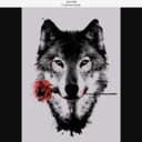 drillgirl-blog avatar