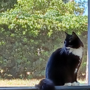 drinkespressowatchhalmet avatar