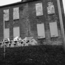 drinking-too-much-tea avatar