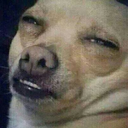 drinkingketchup avatar