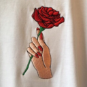 drinkroses-blog avatar