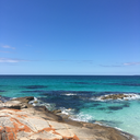 drippingdiamonds avatar