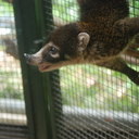 drivemetogeek avatar