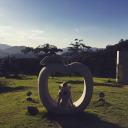 drivenwiththewind avatar