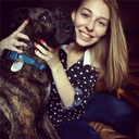 drivesmeinsanee-blog avatar