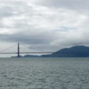 drivingbackwards avatar