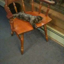 drivingphobia-blog avatar