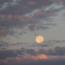 drizzleandrain avatar