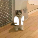 drnur1 avatar