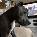 drogenkind-wohlbefind avatar