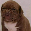 drop-dead-dope avatar