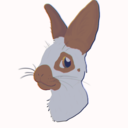 dropcandycat avatar