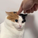 dropdeaddevilx avatar