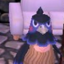 dropitdownfordiktown avatar